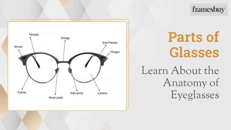 Different Parts of Glasses