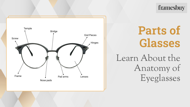 Parts of Glasses: Learn About the Anatomy of Eyeglasses